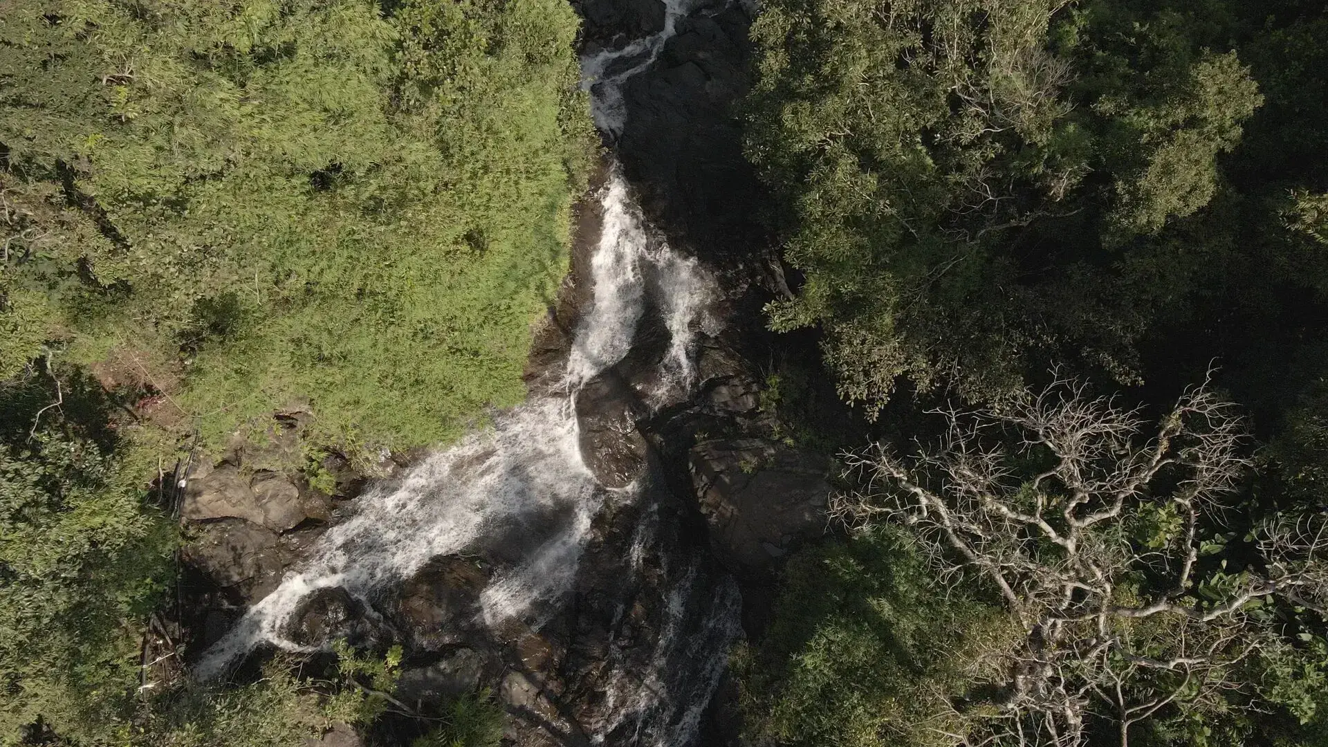 Waterfall Trails